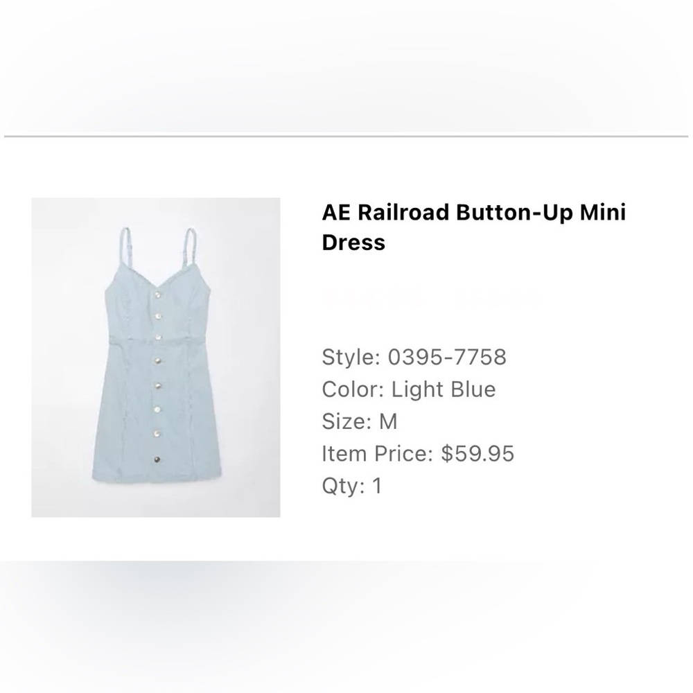 American Eagle Outfitters Railroad Blue Striped Button-Up